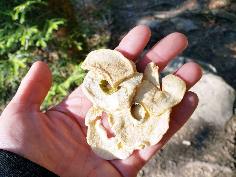 dried apps.jpg